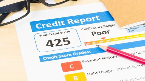 Credit Report