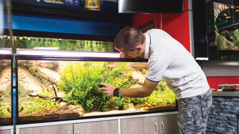 A man in a white shirt and camouflage pants tends to an aquarium with lush green plants in a well-lit room.