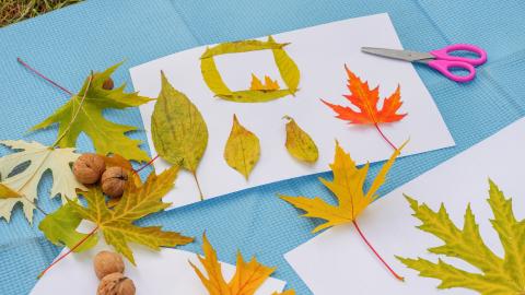 A blue mat with leaves, walnuts, scissors, and paper displaying leaf art.