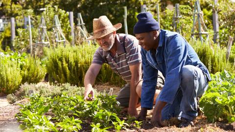 Two people gardening together, kneeling beside greenery, with one pointing. Both wearing hats and casual clothing.