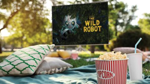 Outdoor movie setup with popcorn, drinks, and pillows, showing "The Wild Robot" on a screen in a park.