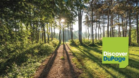 Sunlight filters through tall trees over a forest path, with "Discover DuPage" logo in the corner.