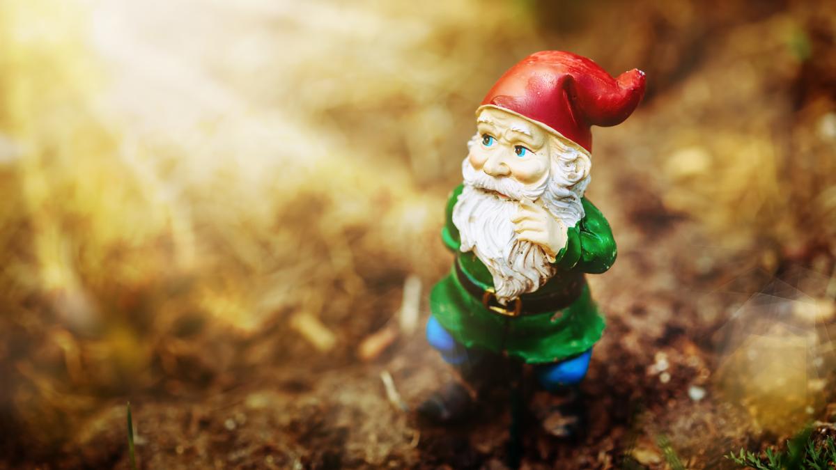 Gnome