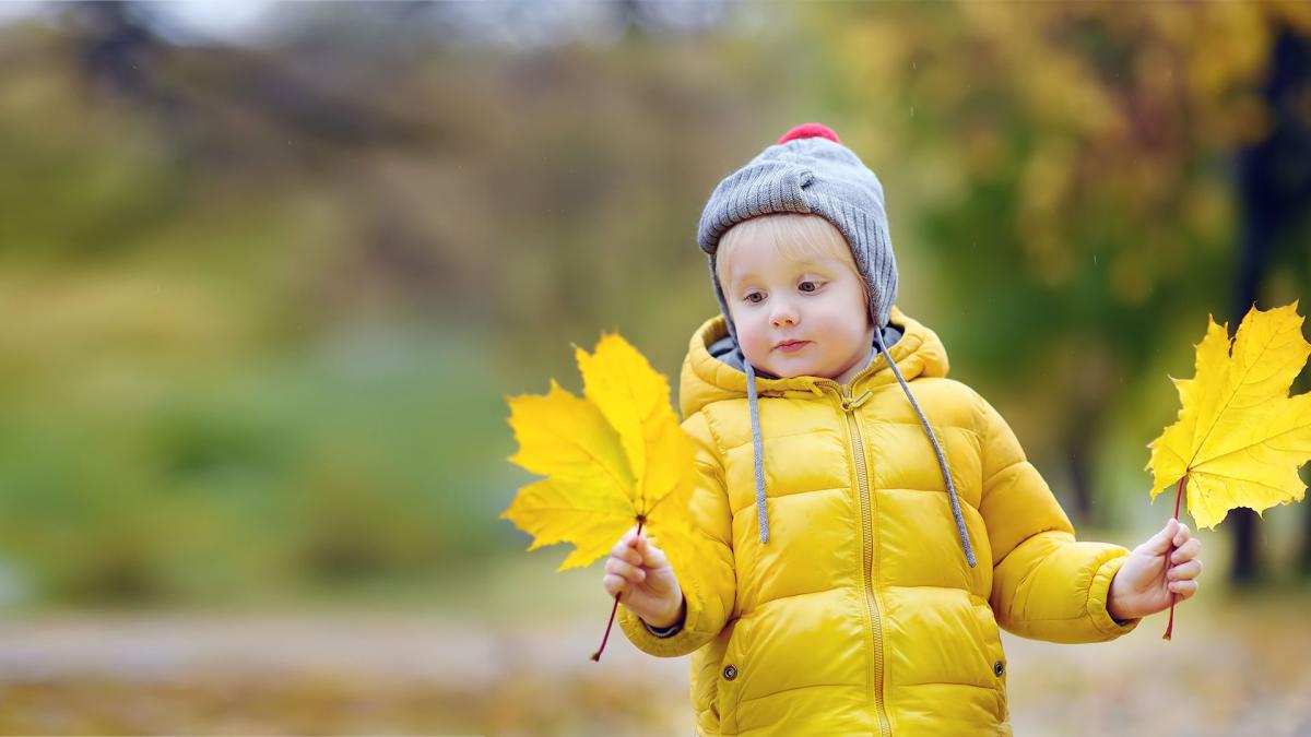 Child in a yellow jacket and gray beanie holding two yellow leaves against a blurred autumn background.